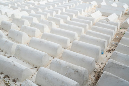 Fez, Morocco. November 9, 2019. the white tombs in the Jewish cemeteryのeditorial素材