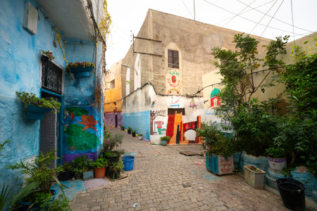 Fez, Morocco. November 9, 2019.  the colored walls of old houses in the old Jewish quarterのeditorial素材