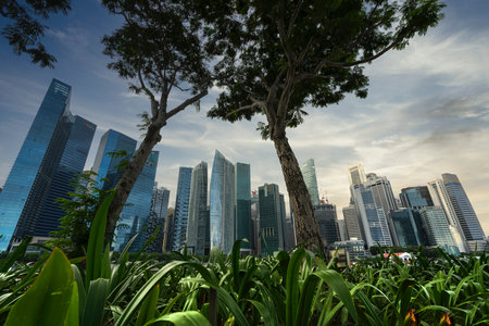 Singapore. January 2020.   A panoramic view of the skyscrapers in Marina Bay at sunsetのeditorial素材