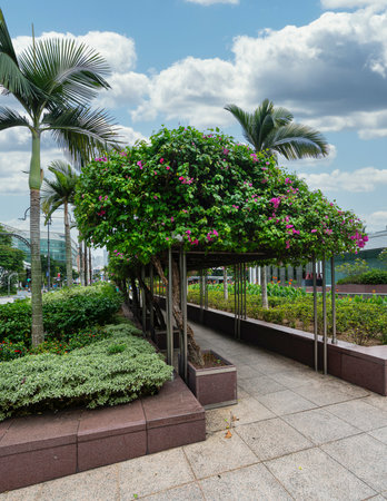 Singapore. January 2020. A panoramic view of the nature in Istana parkのeditorial素材