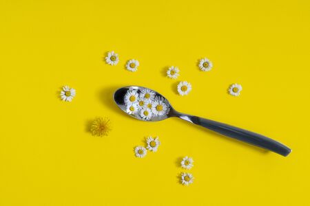 some daisies in the spoon and scattered on a yellow surfaceの写真素材