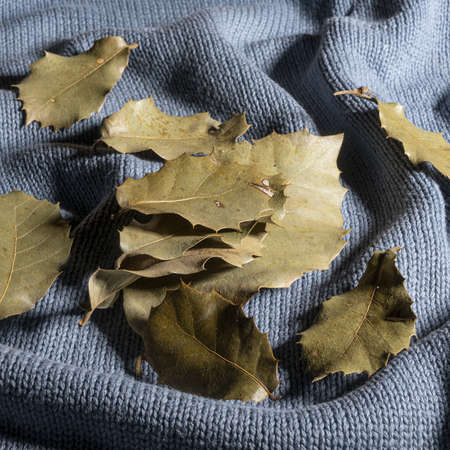 some dry leaves on a sweater in autumnの写真素材