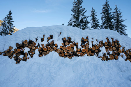 the piles of wooden logs covered with snow in winterの写真素材