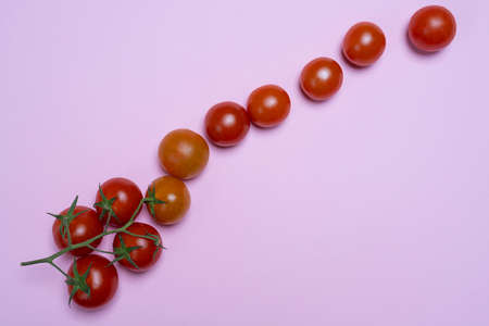 composition formed with some small Pachino tomatoes on a pink surface