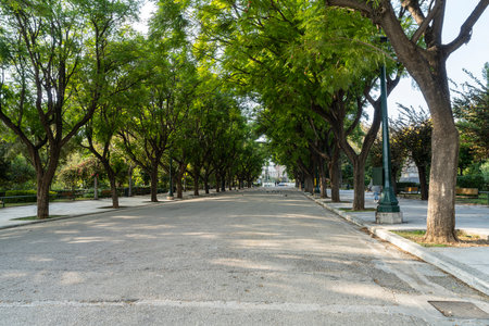 Athens, Greece. November 2021. An avenue in the tree-lined park in front of the Zappeion, a building dating back to around 1880.のeditorial素材
