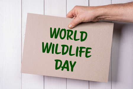 A sign celebrating the United Nations World Wildlife Day at March 3.の写真素材