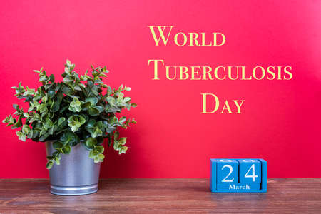the concept celebrating the World Tuberculosis Day the March 24.