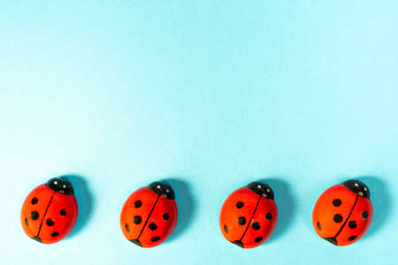view from above of some ladybugs on a colored surfaceの写真素材