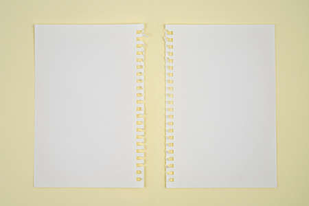 two blank sheets of paper with side perforation on one surfaceの写真素材