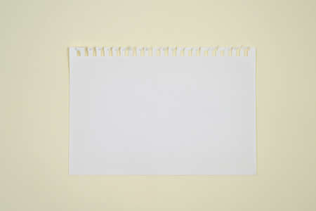 two blank sheets of paper with side perforation on one surface