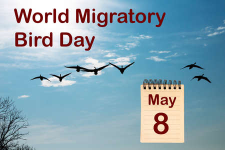 The celebration of the World Migratory Day the May 8の写真素材