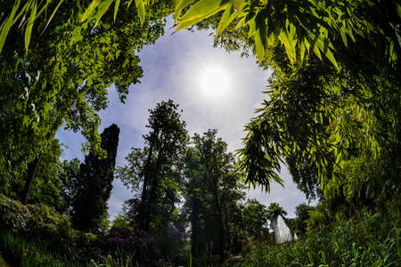 Luxembourg city, May 2022. Panoramic view of the Edith Klein park ibn the city centerのeditorial素材