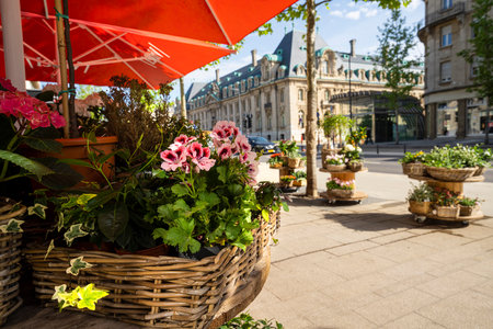 Luxembourg city, May 2022. the sale of flowers in a street in the city centerのeditorial素材