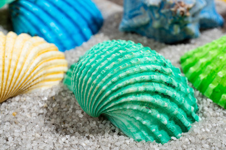some colorful shells on the beach