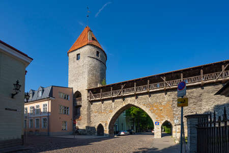Tallinn, estonia. July 2022. view of Nun's tower and city wall platform and medieval city walls in the old townのeditorial素材