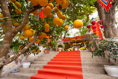 Hanoi, Vietnam, January 2023. Den Nui Sua Buddhist temple inside the Hanoi Botanical Gardenのeditorial素材