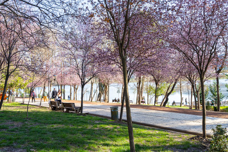 Tirana, Albania. March 2023. panoramic view of the artificial lake park in the city centerのeditorial素材