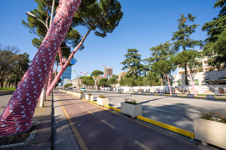 Tirana, Albania. March 2023. view of trees covered with pink cloth along boulevard Deshmoret e Kombit in the city centerのeditorial素材