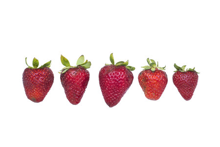 a row of strawberries on a transparent backgroundの写真素材
