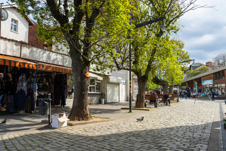 Sofia, Bulgaria. May 2023. panoramic view of the open-air Women's Market in the city centreのeditorial素材
