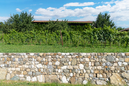 the stone retaining wall in the countrysideの写真素材