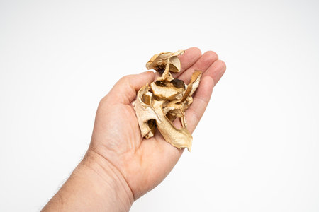 dried mushrooms on the hand on a white backgroundの写真素材