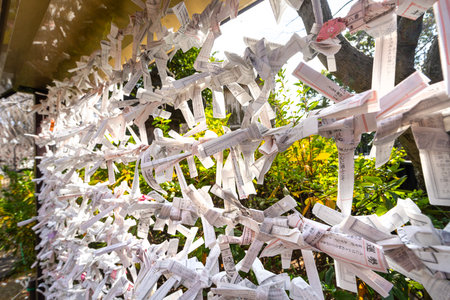 Tokyo, Japan. January 2024. the Omikuji sheets that predict one's future knotted outside Kiyomizu Kannon-do Temple Buddhist temple in the city centerのeditorial素材