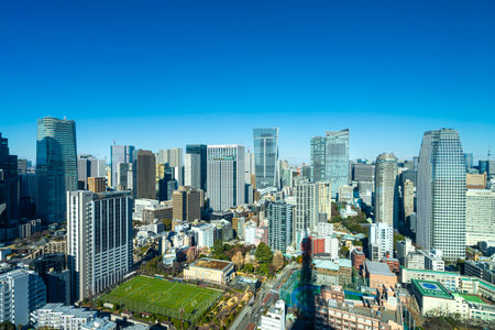 Tokyo, Japan. January 9, 2024. the panorama of the city taken from the Tokyo Towerのeditorial素材