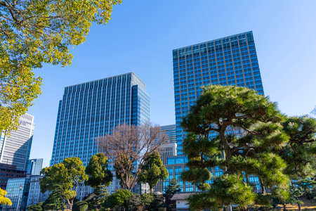 Tokyo, Japan. January 8, 2024. modern skyscrapers among the treetops in the city center