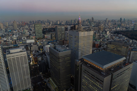 Tokyo, Japan. January 9, 2024. panoramic view of the city at sunset from the Tokyo Metropolitan Government Building North Observatoryのeditorial素材