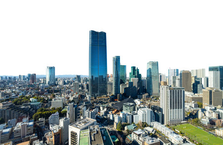 Tokyo, Japan. January 9, 2024. the panorama of the city taken from the Tokyo Tower with a...