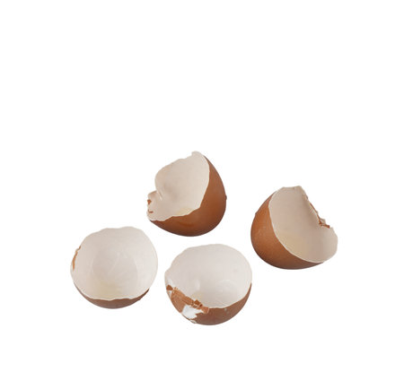 Egg shells on a transparent background
