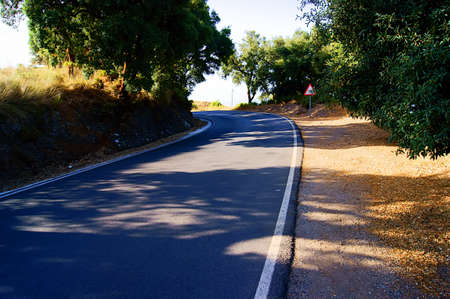 Road to woodの写真素材