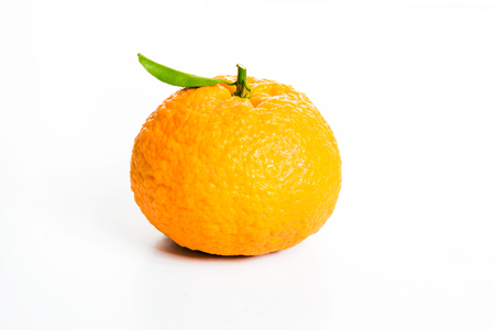 Fresh ripe tangerine on white backgroundの写真素材