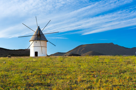 beautiful old mill in the middle of a fieldの写真素材