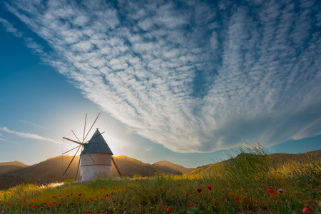 beautiful old mill in the middle of a fieldの写真素材