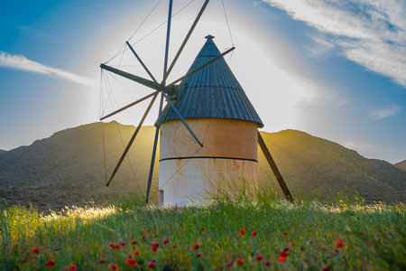 beautiful old mill in the middle of a fieldの写真素材