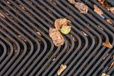 Iron tree grate with geometric design, covered by dry autumn leaves, combining urban structure with natural seasonal detailの写真素材