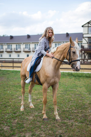beautiful young girl and a horse, portrait, summerの写真素材
