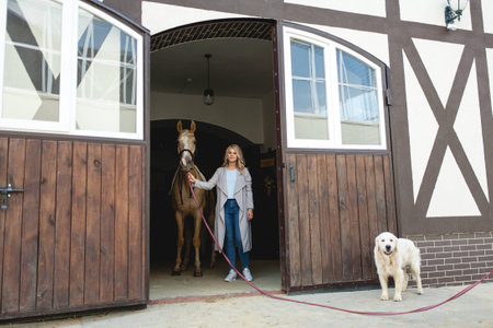 beautiful young girl and a horse, portrait, summerの写真素材
