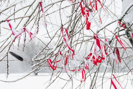 Red ribbon tied on a tree in winter.