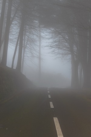 Road in a fog in a cloud in the mountains of Madeira Island, Portugalの写真素材