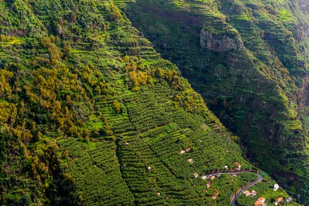 Picturesque and majestic green mountains of Madeira, Portugal.の写真素材