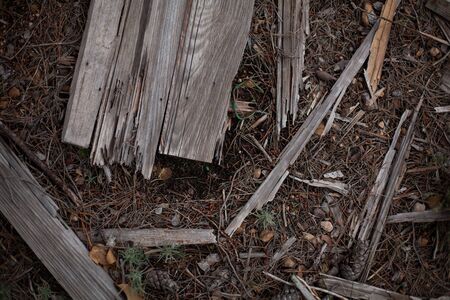 Old broken wooden planks on wet ground