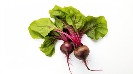 beetroot with green leaves isolated on white background. studio shotの素材