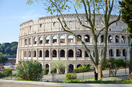 View of the Colosseum, Rome Italy