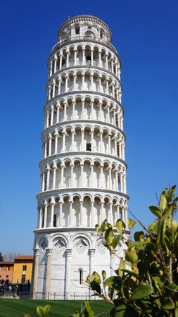 The Leaning Tower of Pisa with green plantsのeditorial素材