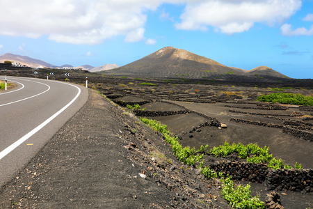 Amazing landscape of Lanzarote Island with volcanic black ground in La Geria, Canary Islands, Spainの写真素材