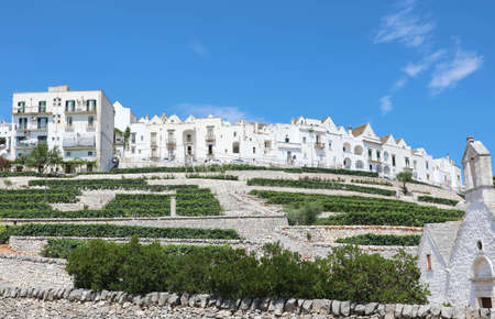 Beautiful view of Locorotondo white historic town, Apulia, Italyの写真素材