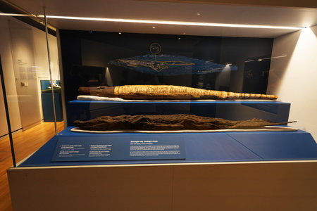 TURIN, ITALY - AUGUST 19, 2021: Crocodile mummy. Mummification of crocodile during the Egyptian civilization, Egyptian Museum of Turin, Italyのeditorial素材
